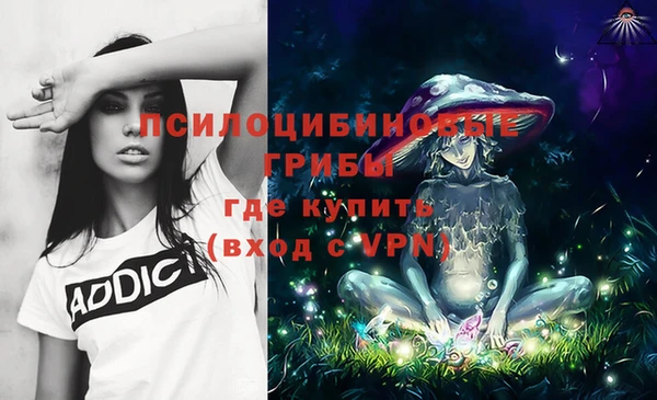 первитин Каменка